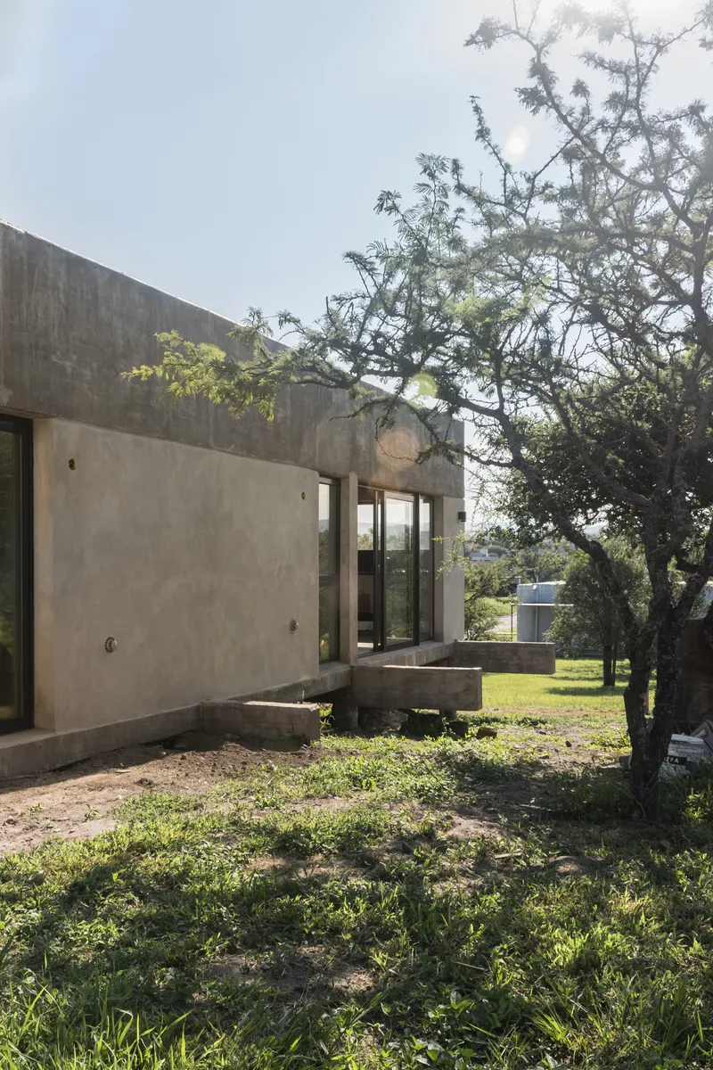Board-formed concrete facade with corner glazing and balcony alongside a gnarled mature tree