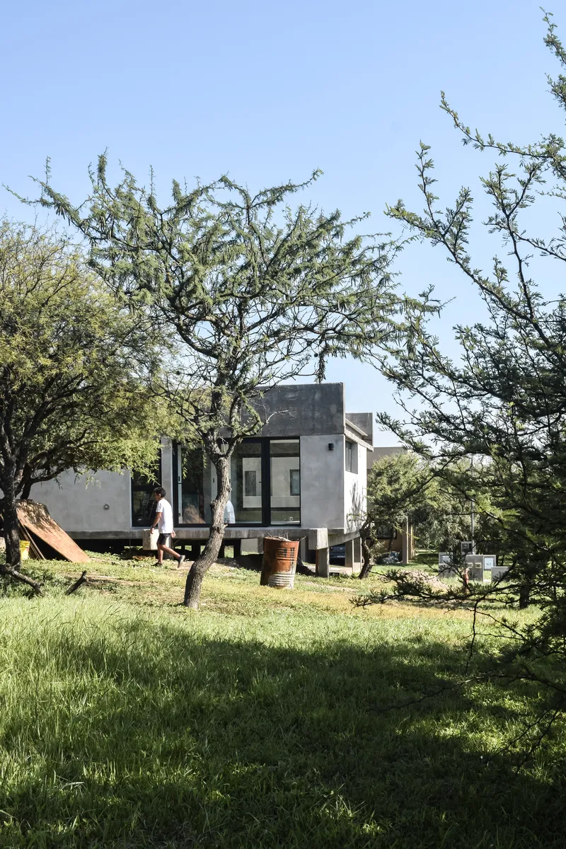 Elevated concrete volume on pilotis set among gnarled trees and wild grass in spring