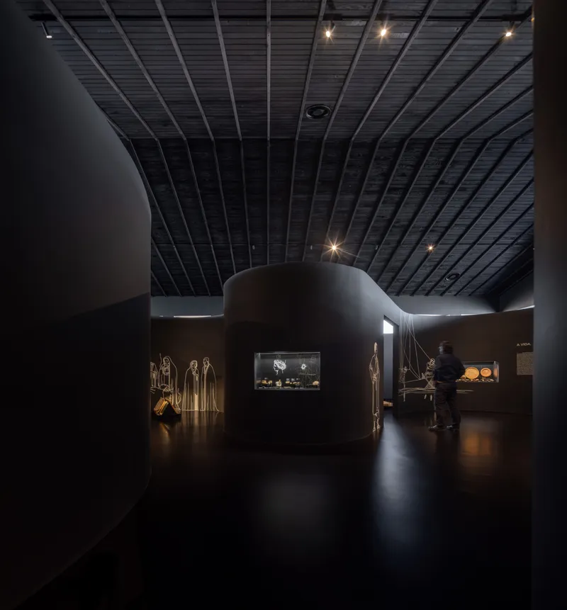 Gallery interior with curved partition walls and a visitor examining illuminated display cases at night