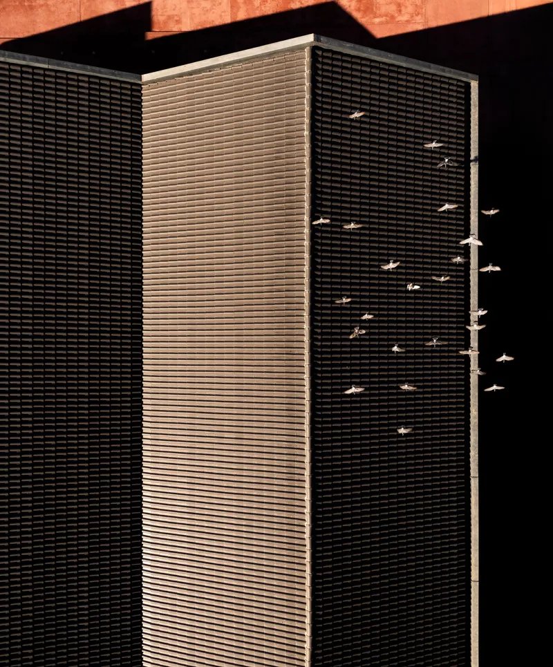 Three vertical louvered screens in alternating dark and light tones with birds passing by