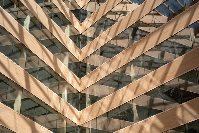 Chevron-patterned timber beams layered over glazed facade with dappled sunlight casting shadows