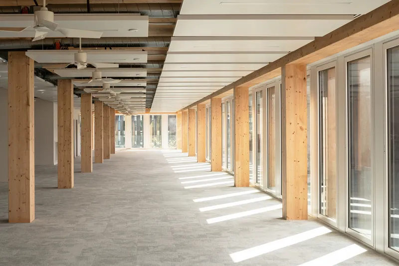 Long interior corridor with exposed timber columns, white ceiling slats and sunlight streaming across concrete floor