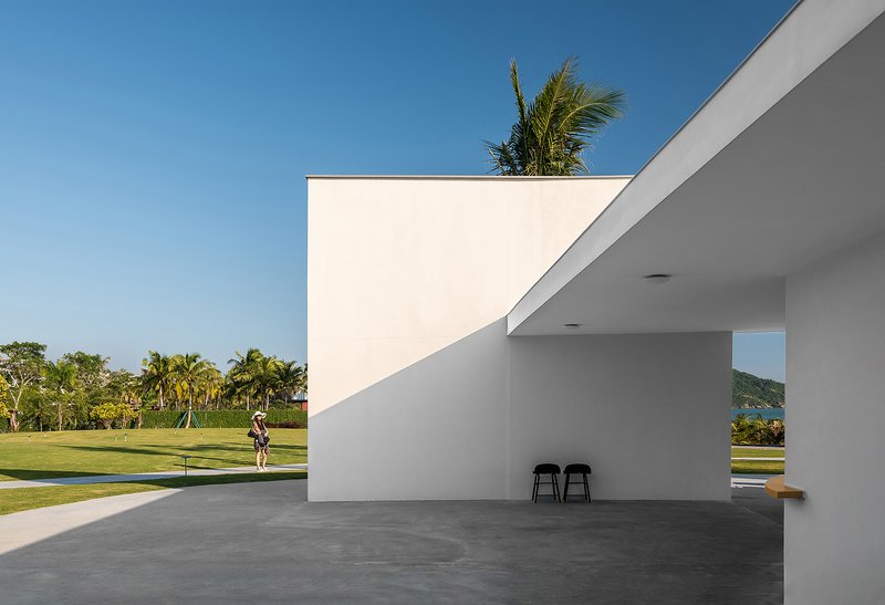 Rooftop terrace with palm tree emerging from white parapet above covered terrace with two stools