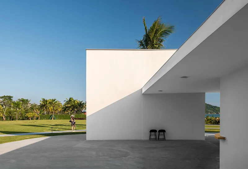 Rooftop terrace with palm tree emerging from white parapet above covered terrace with two stools
