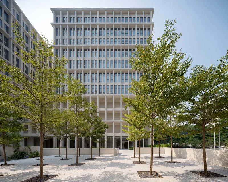 Gridded facade with deep window recesses rising above a paved plaza with young planted trees
