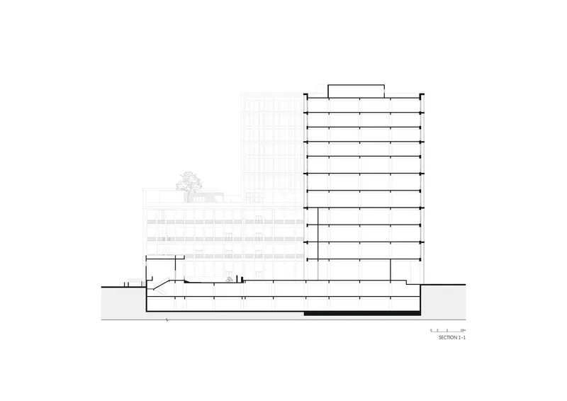 Section drawing showing the tower rising above a horizontal base with planted rooftop trees