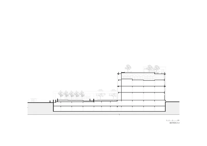 Section drawing showing the horizontal base with planted terraces and trees against grade