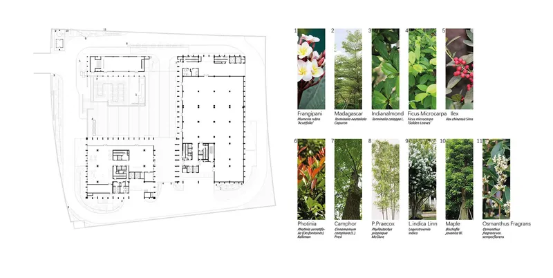 Floor plan drawings paired with a botanical palette showing twelve plant species in vertical strips
