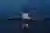 Espacio Común Builds a Floating Stage on a Rising Amazon River for Iquitos' Muyunafest