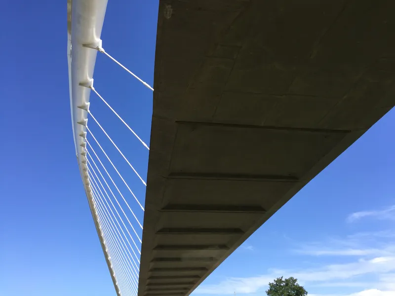 Underside view of the concrete bridge deck with white steel arch and cable stays against blue sky