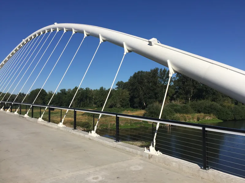 Bridge deck walkway with cable railings and horizontal metal barriers overlooking the vegetated riverbank