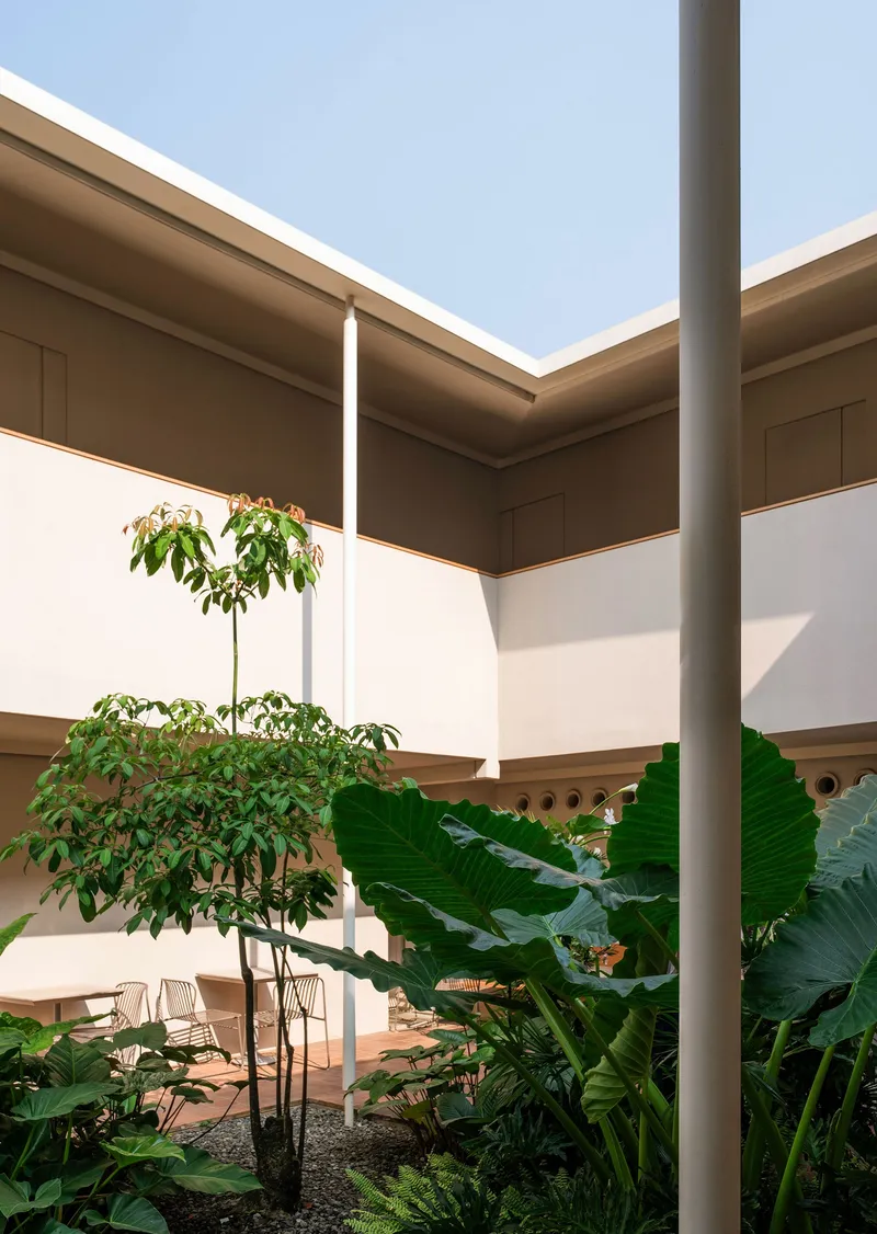 Interior courtyard planted with banana leaves and small tree beneath a bright afternoon sky