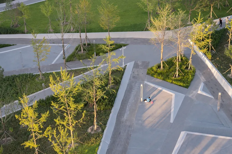 Aerial view of paved plaza with young trees, planted beds, and person seated near pathway