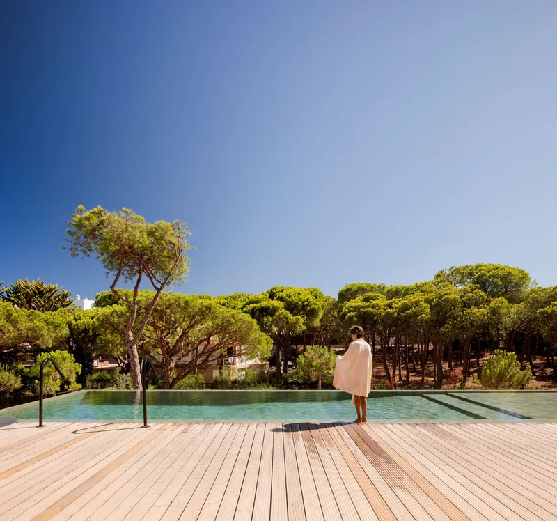 Timber deck pool terrace with a person standing near planted trees and pine forest beyond