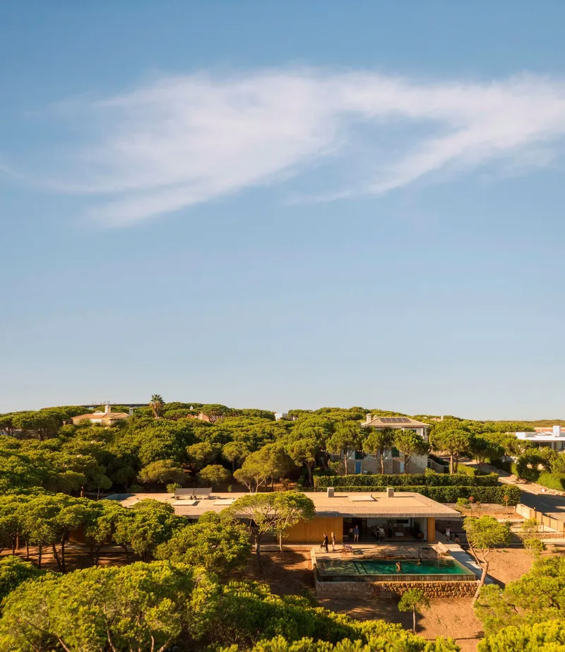 Aerial view of the low-slung residence with planted roof terrace surrounded by mature pine forest