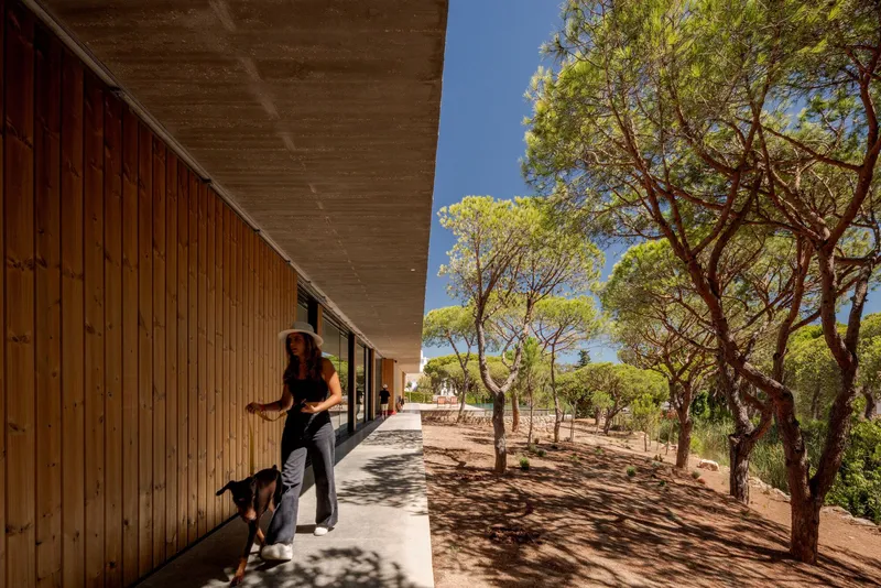 Covered walkway with timber cladding and concrete soffit alongside a person walking a dog