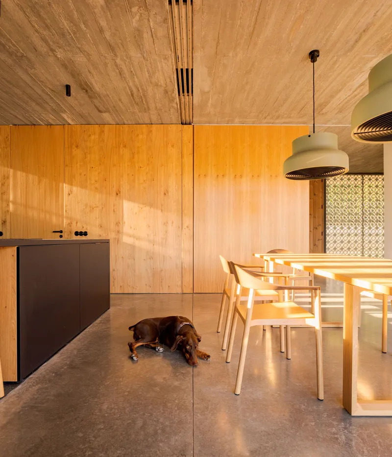 Kitchen and dining zone with timber joinery and pendant light as a dog rests on the concrete floor