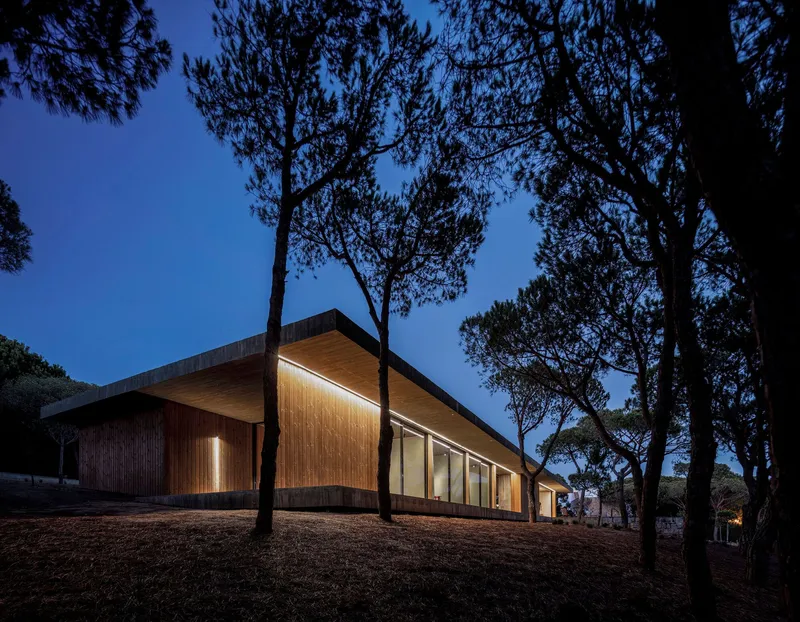 Timber-clad volume with glowing underlit eaves framed by tall pine trees at dusk