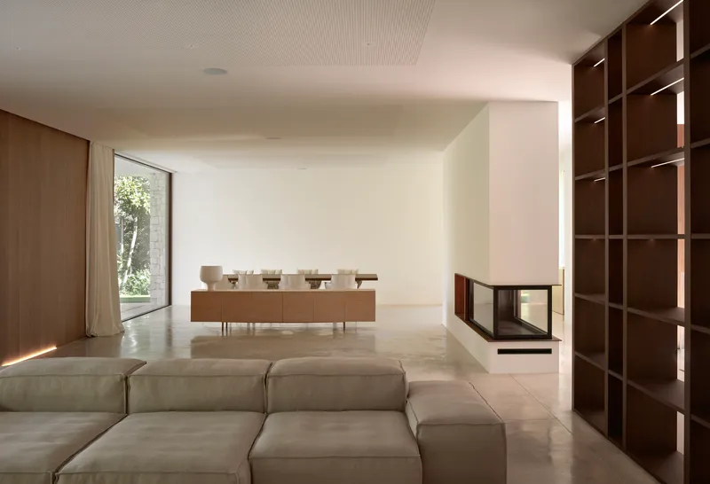 Living room with white fireplace insert and walnut shelving wall overlooking the dining area
