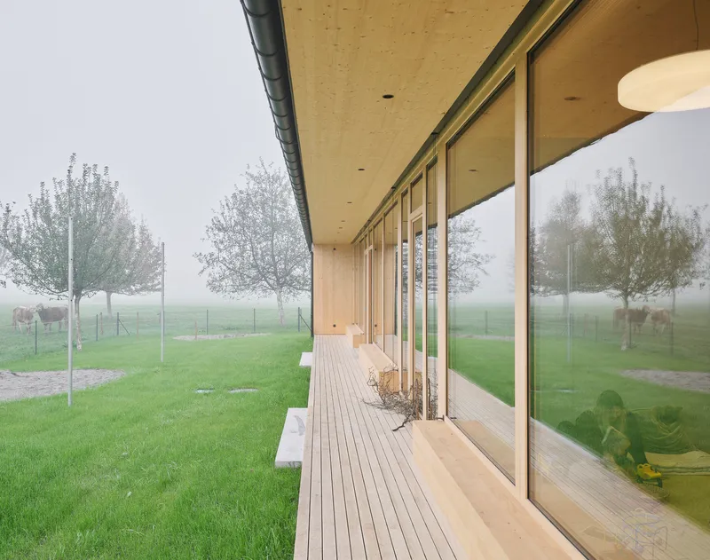 Covered timber deck with floor-to-ceiling glazing and plywood soffit in morning fog