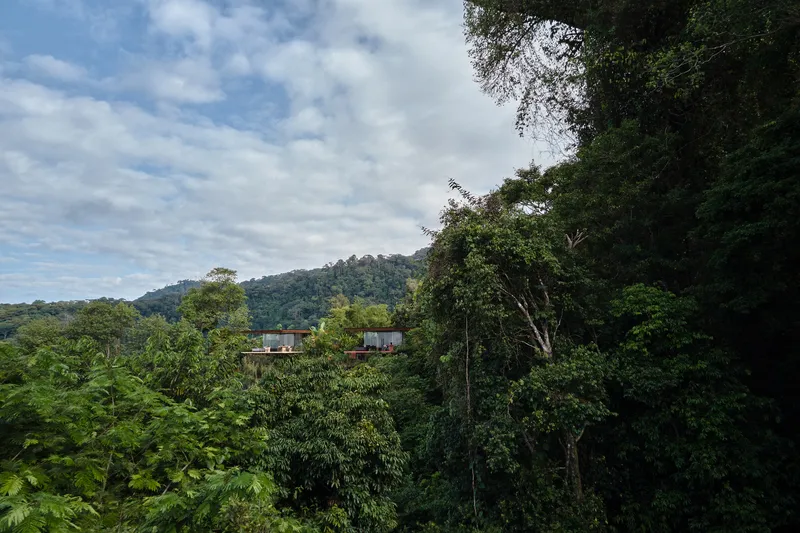 Distant view of the flat-roofed volumes nestled within the dense tropical forest canopy