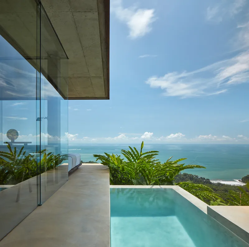 Infinity pool edge framing the ocean view with ferns and concrete overhang casting shadows