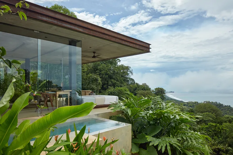 Cantilevered roof plane sheltering a terrace with plunge pool, bird-of-paradise flowers and distant coastline views