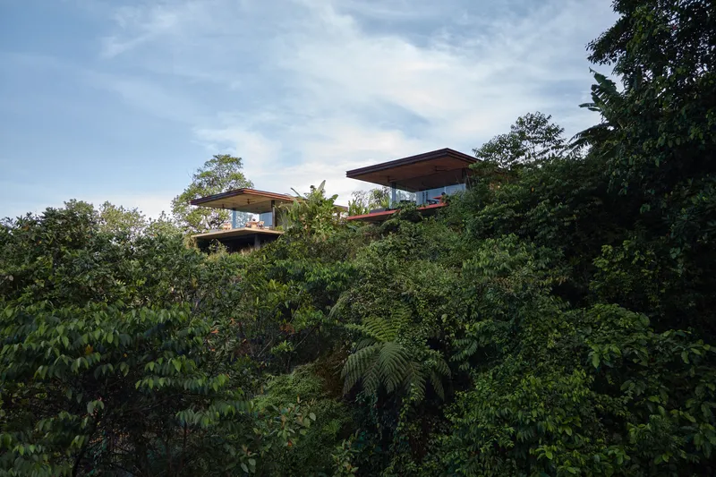 Two pavilions with deep overhangs emerging from lush tropical canopy at dusk