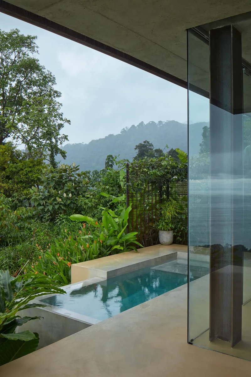 Covered terrace with narrow lap pool framed by glass walls overlooking forested hillside and mist