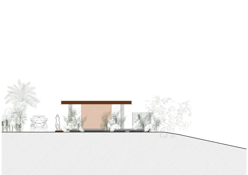 Section drawing displaying the pavilion with timber volume and surrounding palm vegetation