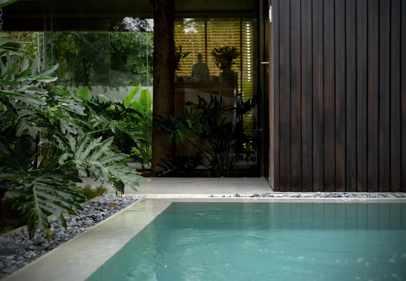 Pool edge at dusk with timber cladding, illuminated slatted window, and planted bed with tree trunk