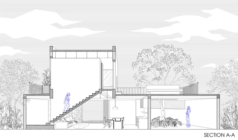 Section drawing revealing split-level spaces with an internal staircase and surrounding trees