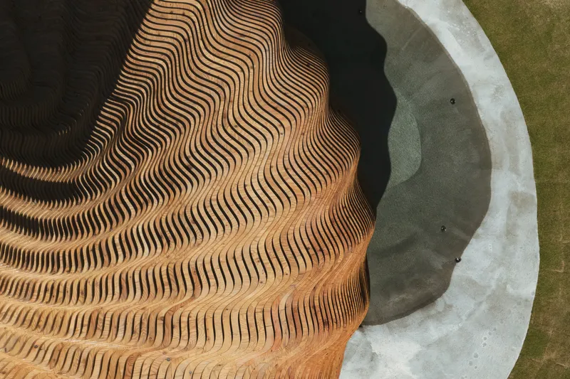 Overhead detail of concentric laminated timber ribs meeting curved white concrete edge beside lawn
