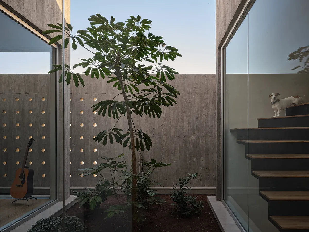 Driss Kettani Carves a Private World from Concrete Boxes on a Tight Casablanca Plot