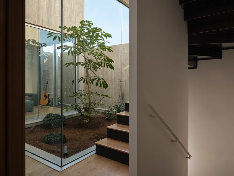 Glass-enclosed internal courtyard with young tree beside timber and steel staircase under daylight