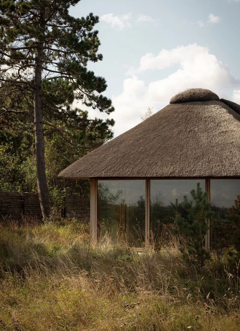 Thatched roof structure with horizontal glazing and timber cladding beneath framed by dry grasses