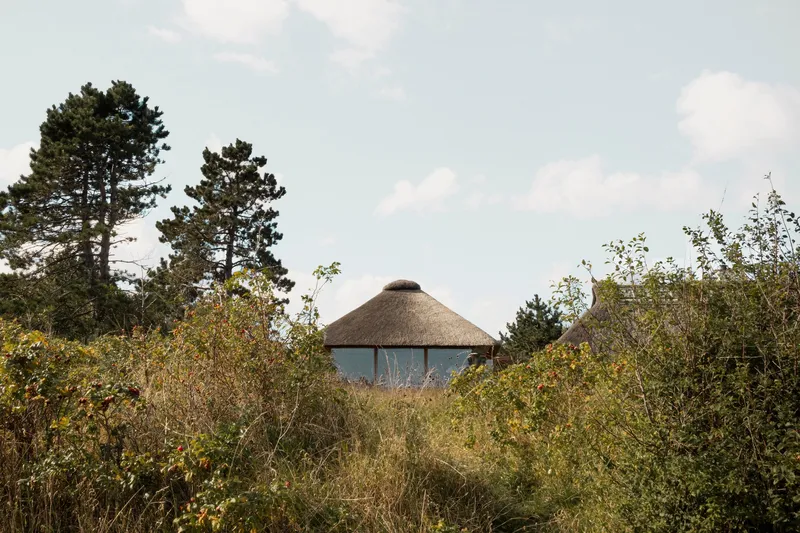 Distant view of the thatched roof pavilion emerging above wild grasses and scattered pines