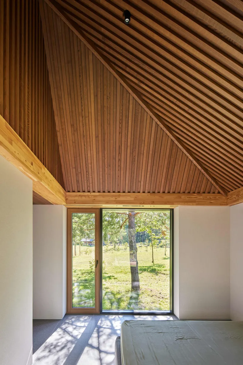 Interior room with sloped slatted timber ceiling and corner window framing birch trees outside
