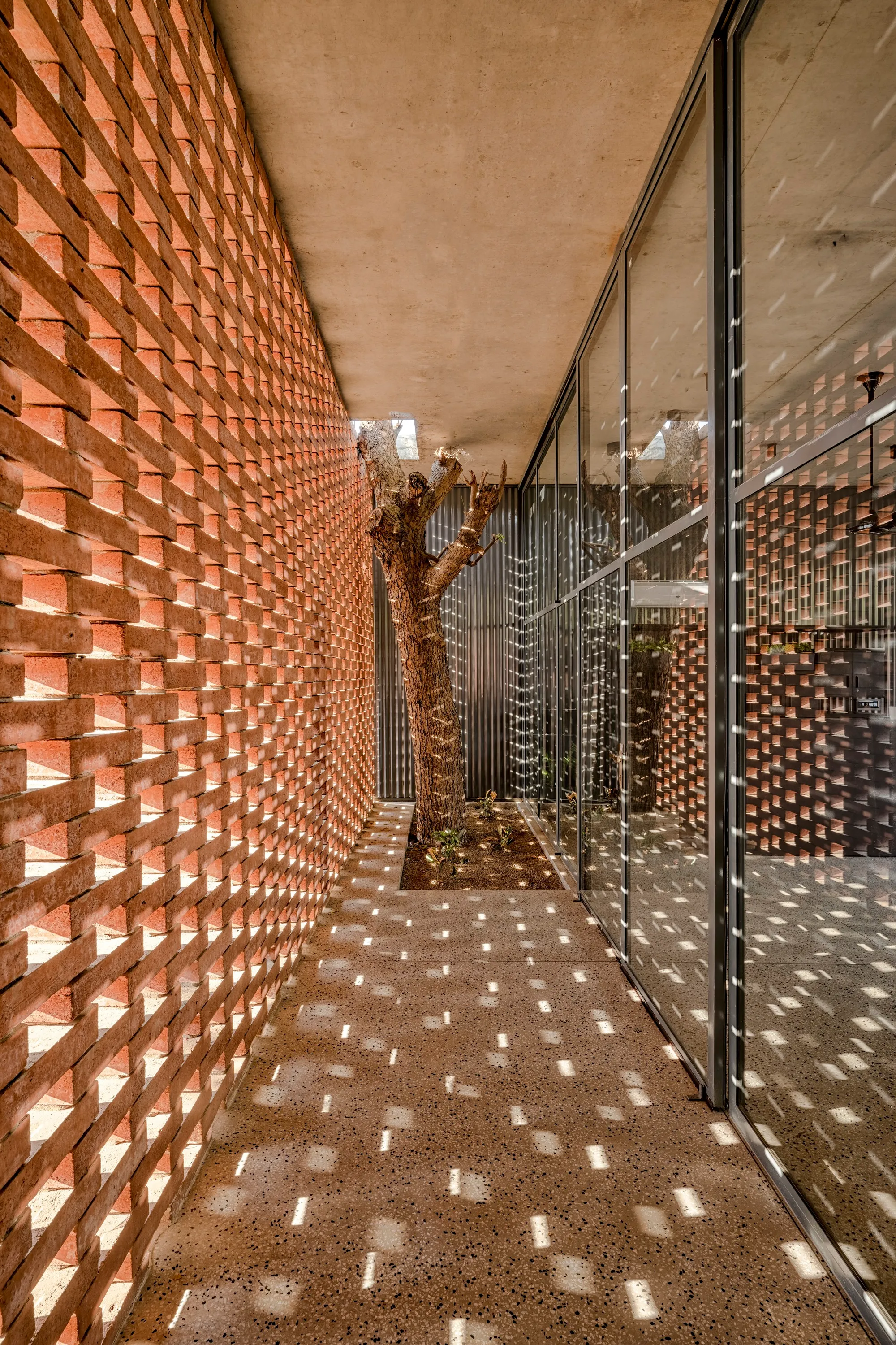 RA Design Studio Wraps a 60-Meter Brick Screen Around Sun and Trees in Ahmedabad