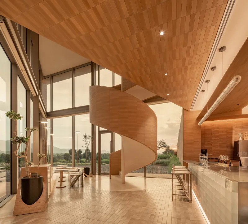 Interior with spiral timber staircase and herringbone wood ceiling lit by warm evening sunlight