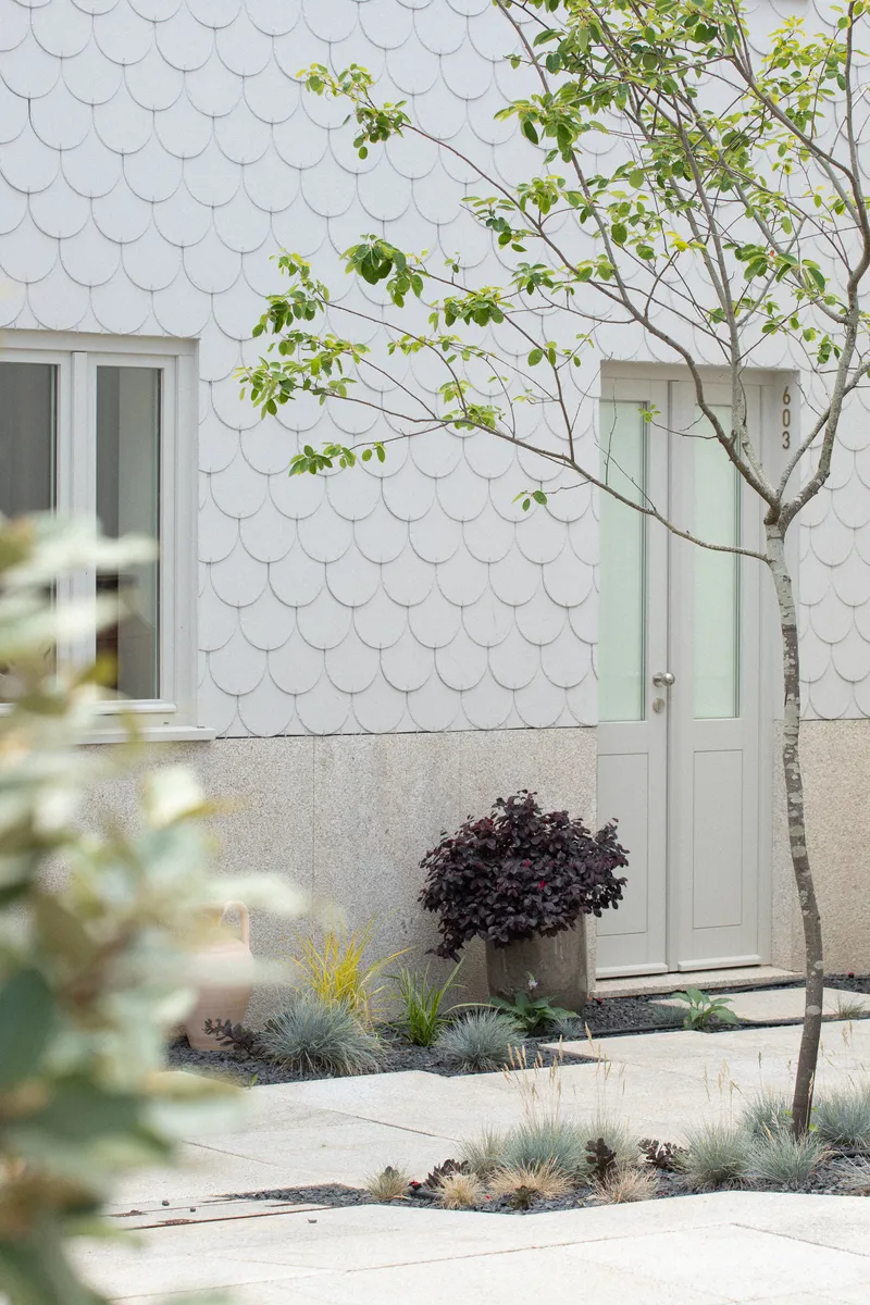 White scalloped shingle facade with planted beds of grasses and a young birch tree