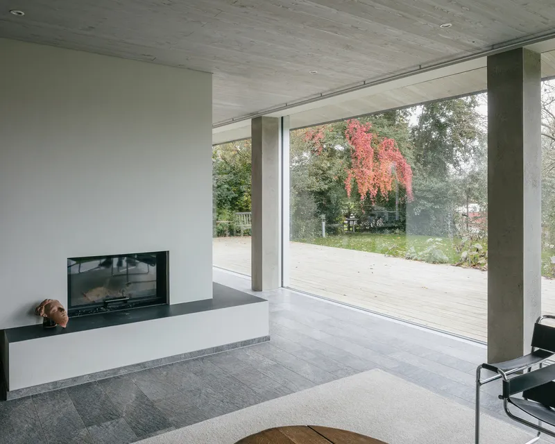Interior living space with fireplace and dog opening to wooden deck in autumn