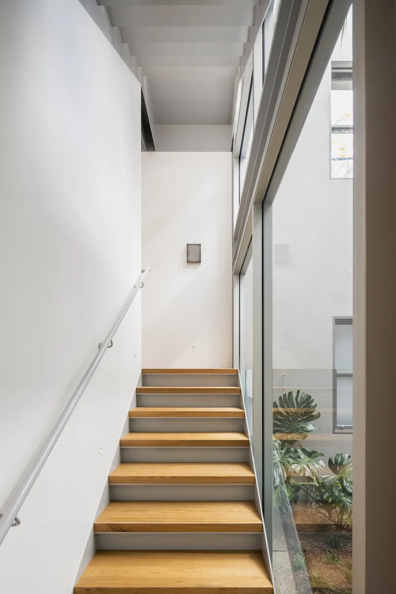 Timber-tread staircase with grey risers alongside a glazed wall overlooking the planted courtyard