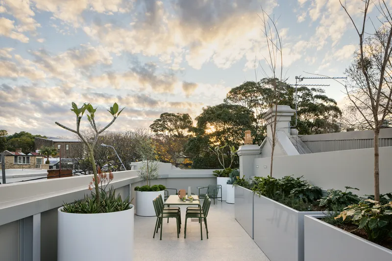 Rooftop terrace with built-in planters, dining table and mature trees visible in the surrounding neighborhood