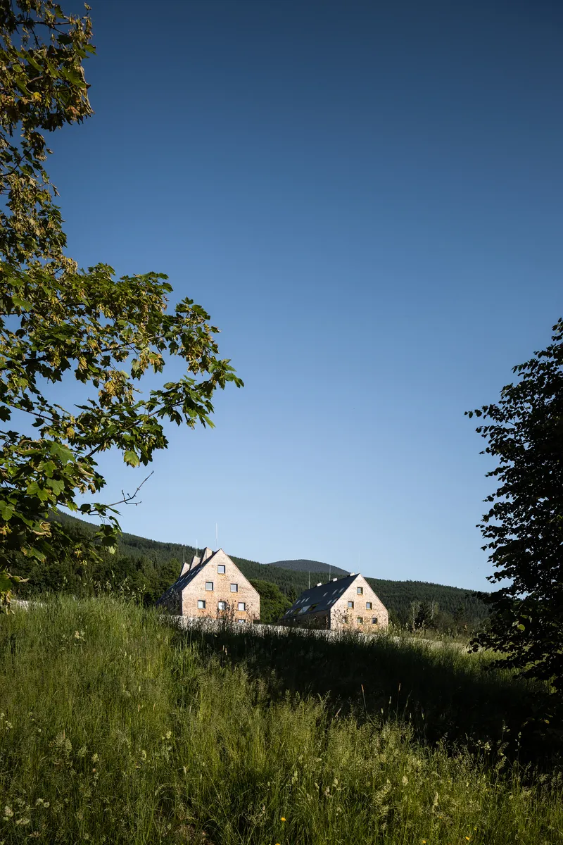 Two gabled volumes with shingle cladding set in a grassy meadow framed by overhanging tree branches