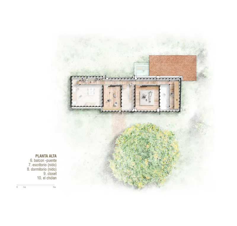 Upper floor plan drawing showing a linear arrangement of rooms with a tree canopy rendered beside the building