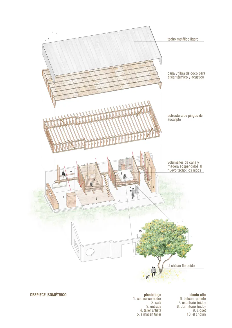 Exploded isometric drawing depicting layered roof assembly, timber structure, interior volumes and exterior courtyard with tree