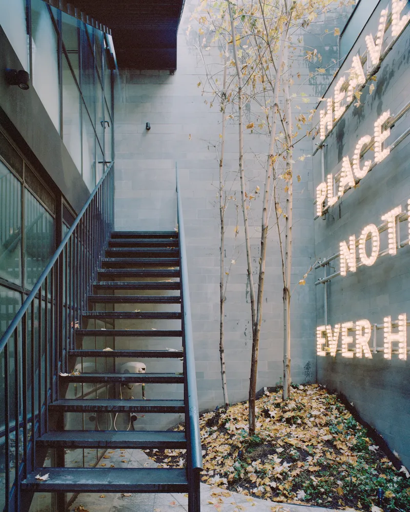 Steel stair beside courtyard with birch trees and autumn leaves on the ground