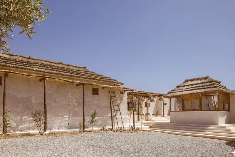 Gravel courtyard connecting thatched roof volumes with rendered walls and young olive trees under clear sky