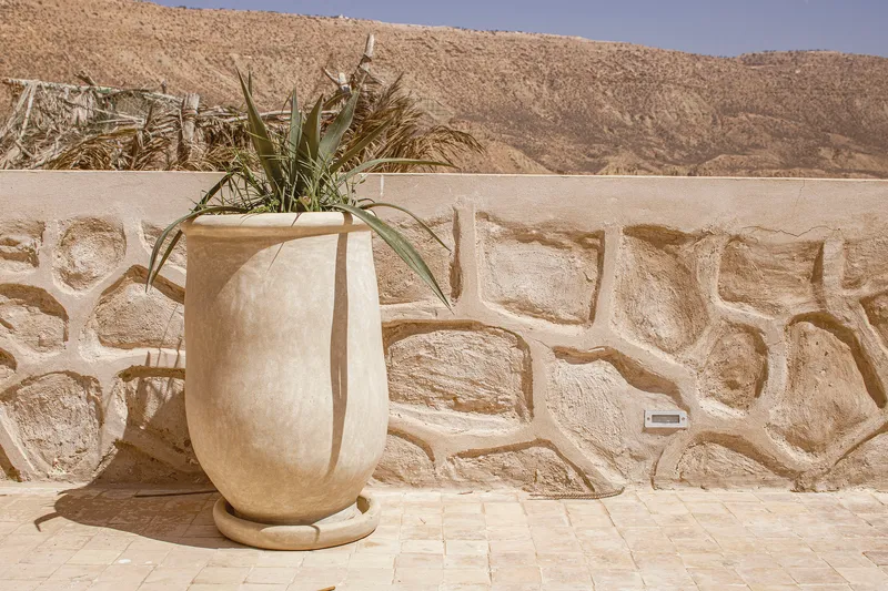 Close-up of a ceramic planter with desert plant against a relief-carved stone wall with arid hillside beyond